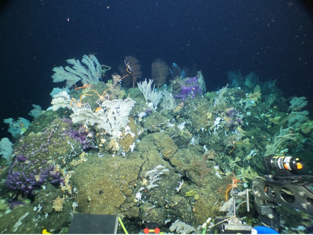 It’s the first day of science: How did everything&nbsp;go?